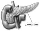 http://www.surgery.usc.edu/hepatobiliary/graphics/pancreaticsurgery1.jpg