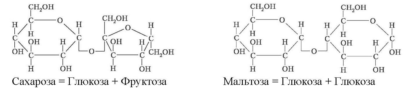 Сахароза = Глюкоза + Фруктоза, Мальтоза = Глюкоза + Глюкоза